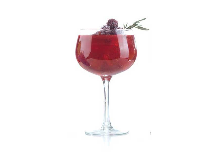 Gin frutos rojos