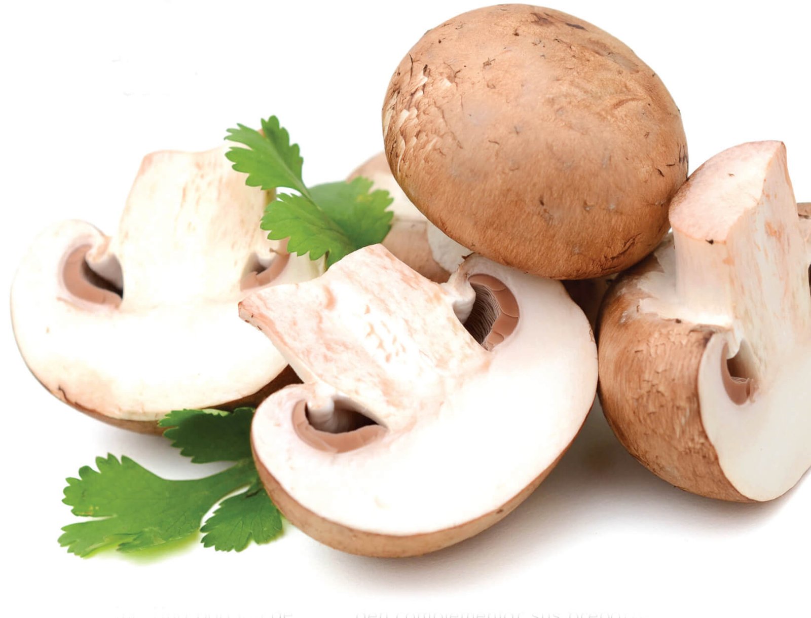 Champiñones, versátiles en la cocina - Revista Maxi Online