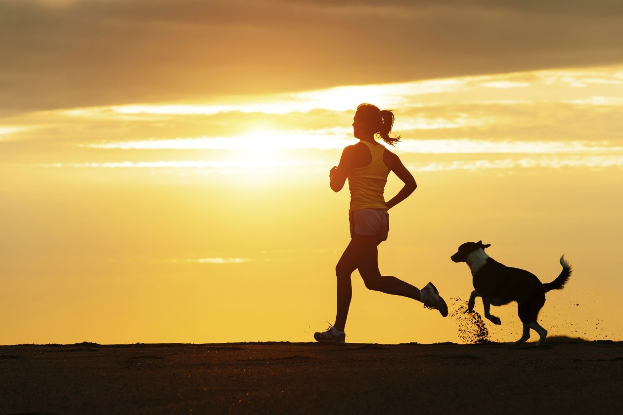 Revista Maxi - Espacio