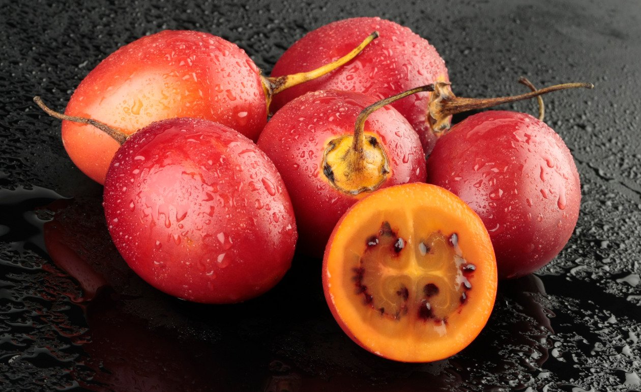Tomate de árbol, el fruto que baja el colesterol - Revista Maxi Online