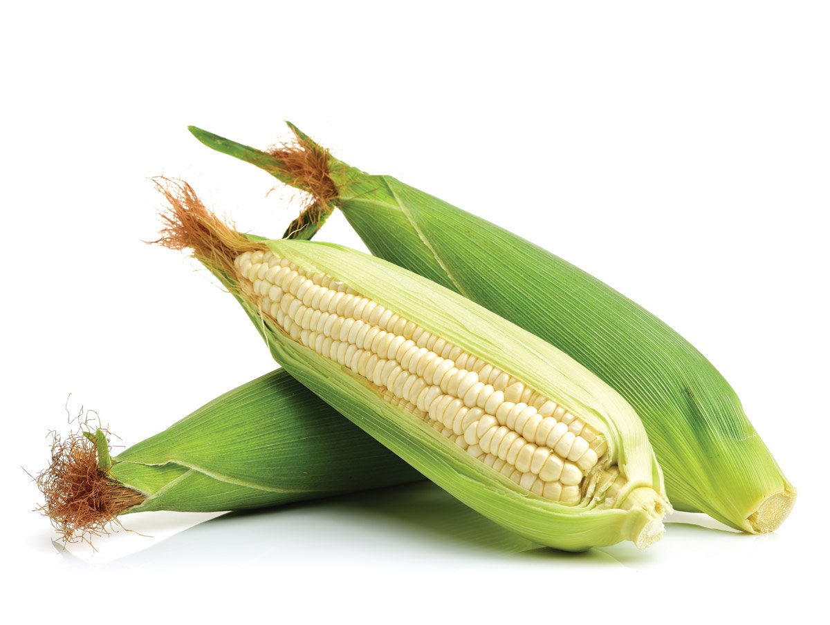 El choclo, un ícono de la Sierra Revista Maxi Online