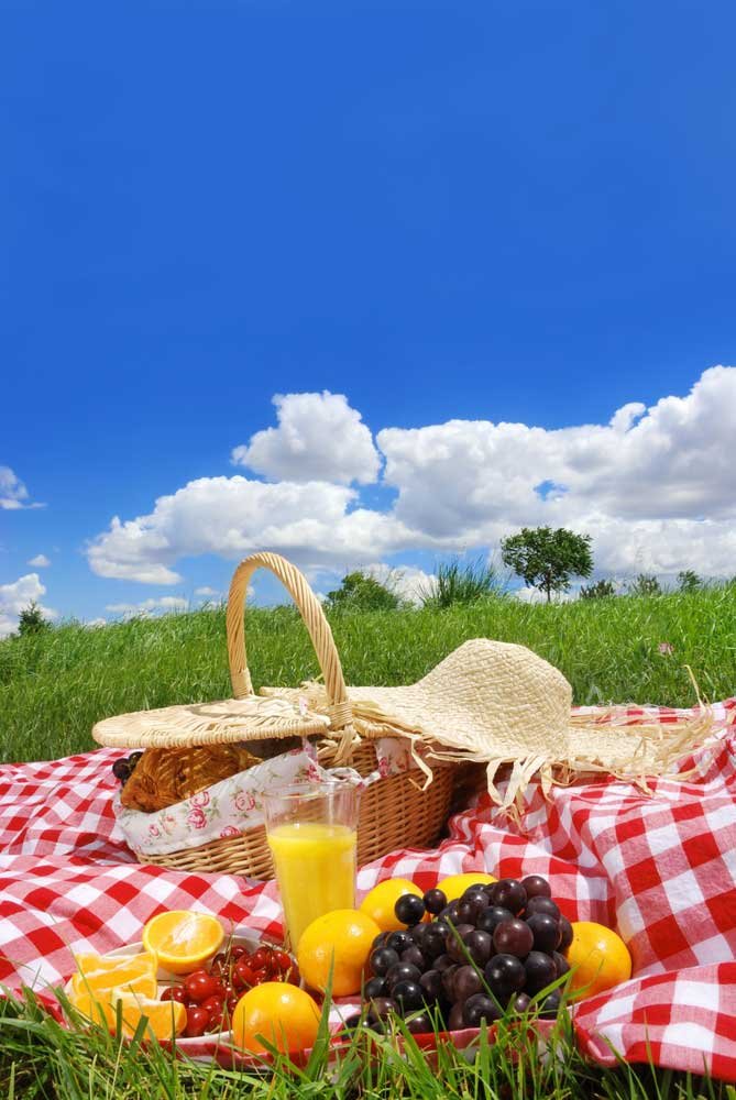 Pic nic