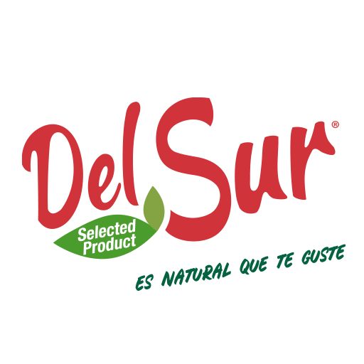 logo-del-sur