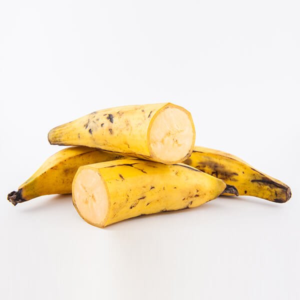 nutricion