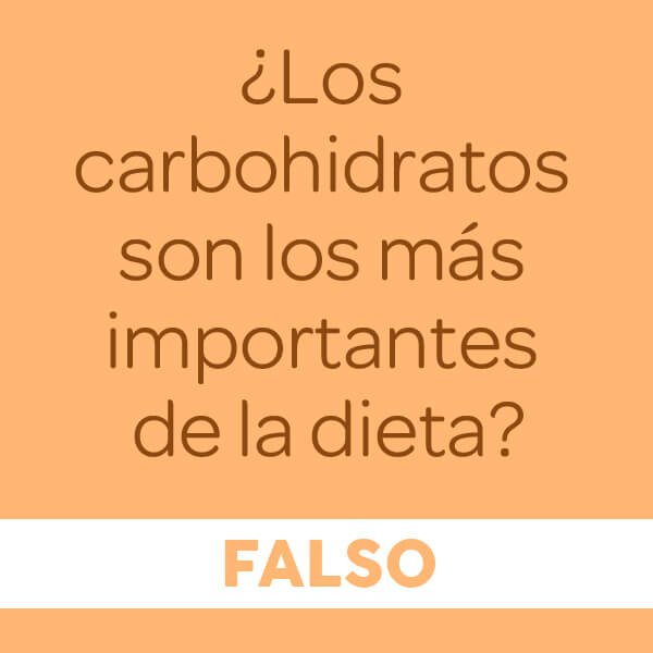 los-carbohidratos-son-los-mas-importantes-de-la-dieta
