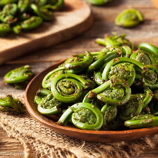 fiddleheads