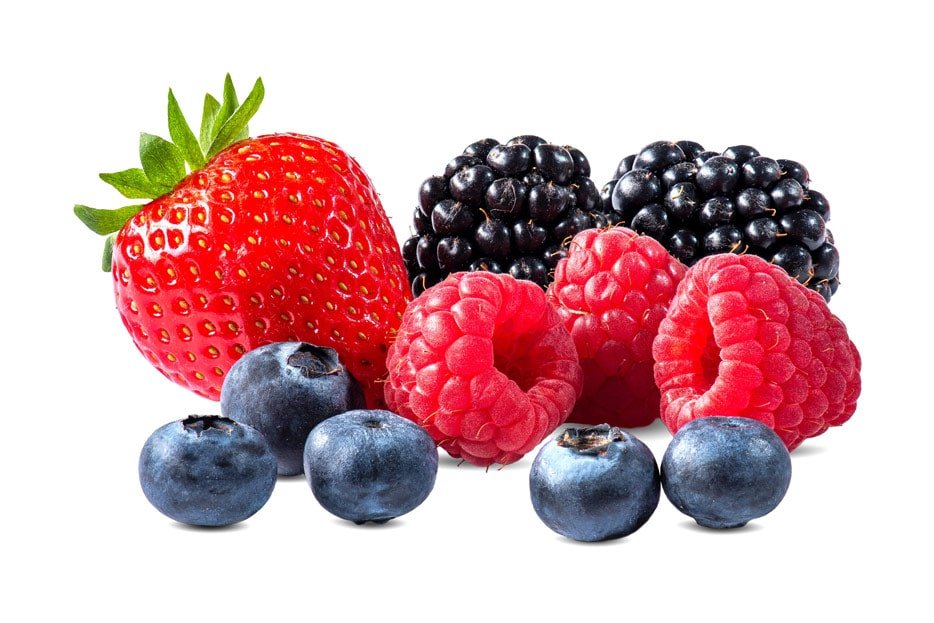 alimento