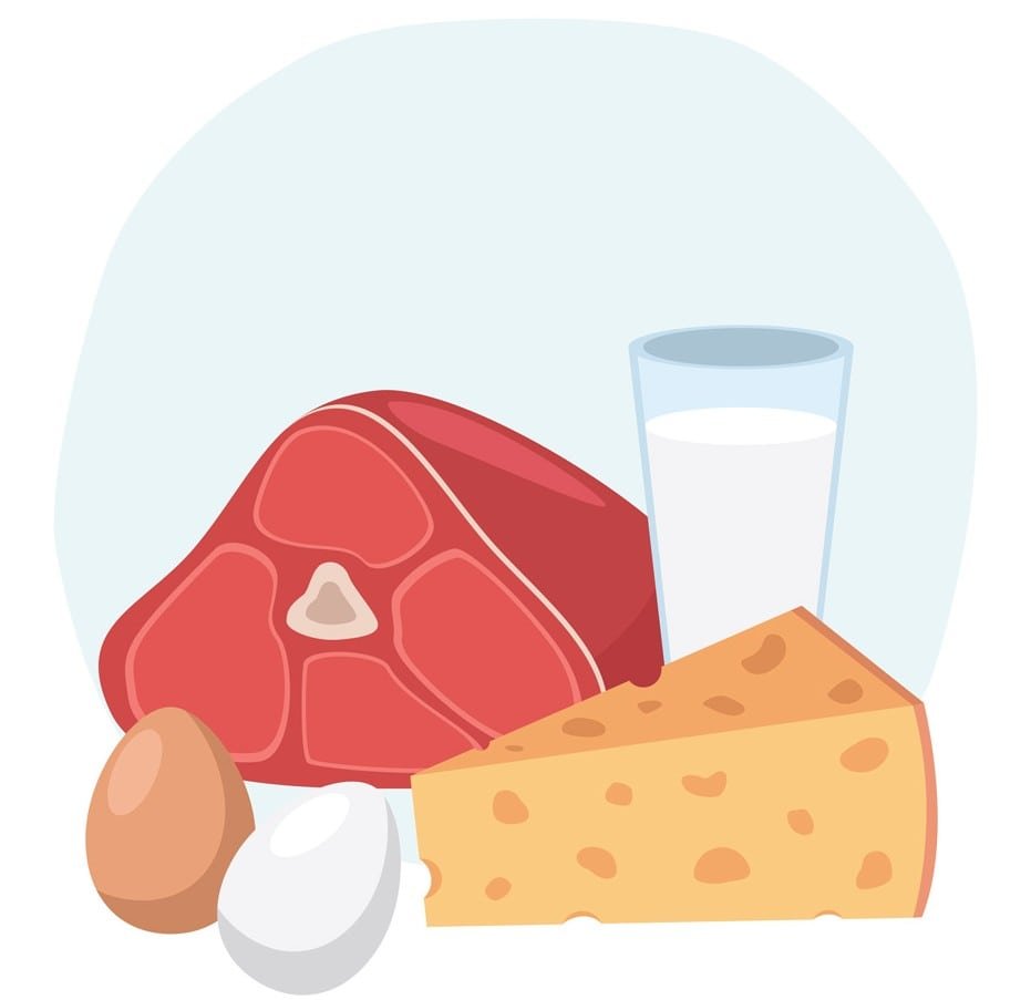 alimento